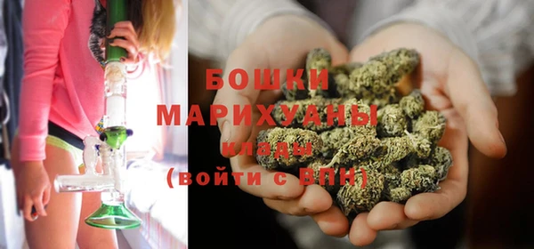 apvp Горняк