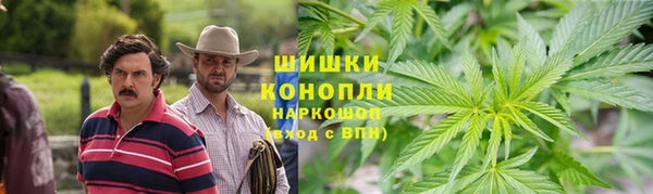 шишки Вяземский
