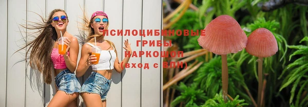 амф Горно-Алтайск