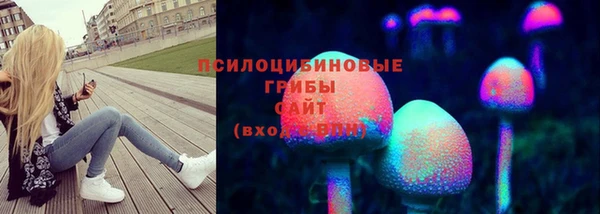 крисы Горнозаводск