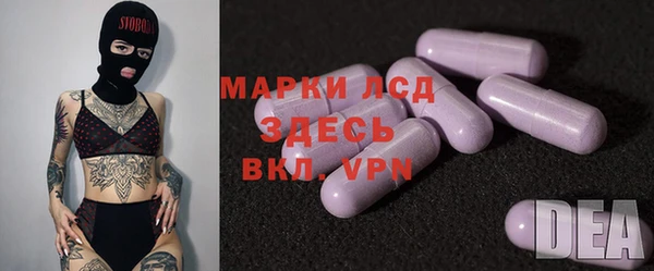 apvp Горняк