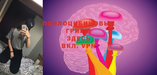 apvp Горняк
