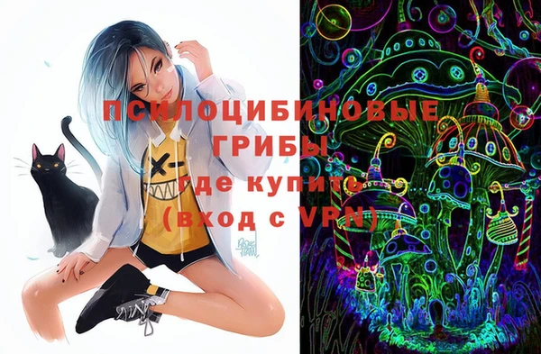 mdpv Гусь-Хрустальный