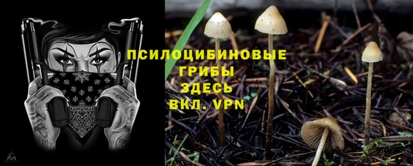 apvp Горняк